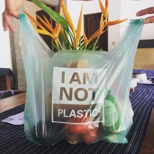 Biodegradable nylon