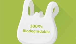 نایلون تجزیه پذیر