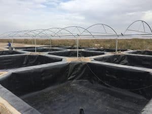 انواع دستگاه نایلون خانگی و32 مدل از آن 189 نایلون استخر ماهی