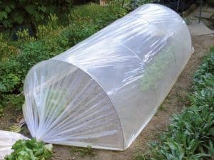 نایلون گلخانه