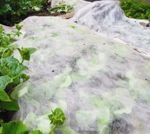 کاور پلاستیکی گیاه