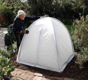 الدفيئة البلاستيكية