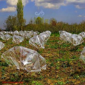 پلاستیک محافظ گل و گیاه