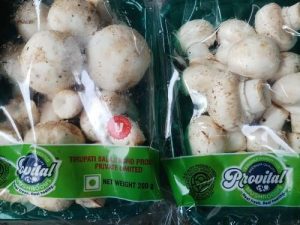 نایلون چاپدار بسته بندی قارچ