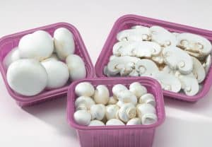 قارچ در ظرف یکبار مصرف صورتی