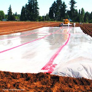 نایلون ضد عفونی