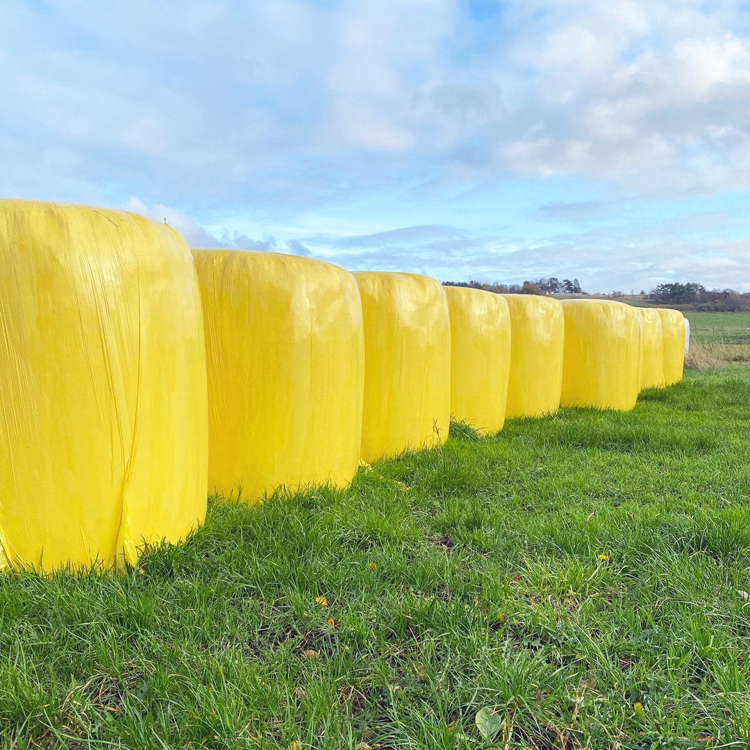 نایلون استرچ علوفه زرد