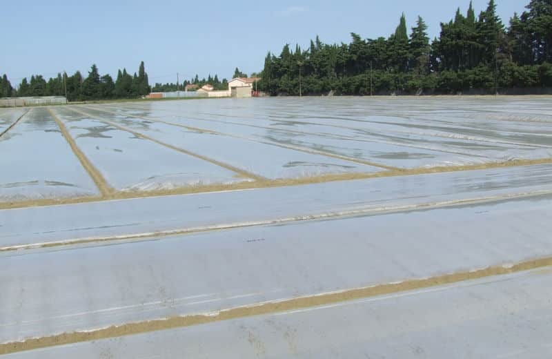 نایلون ضدعفونی خاک