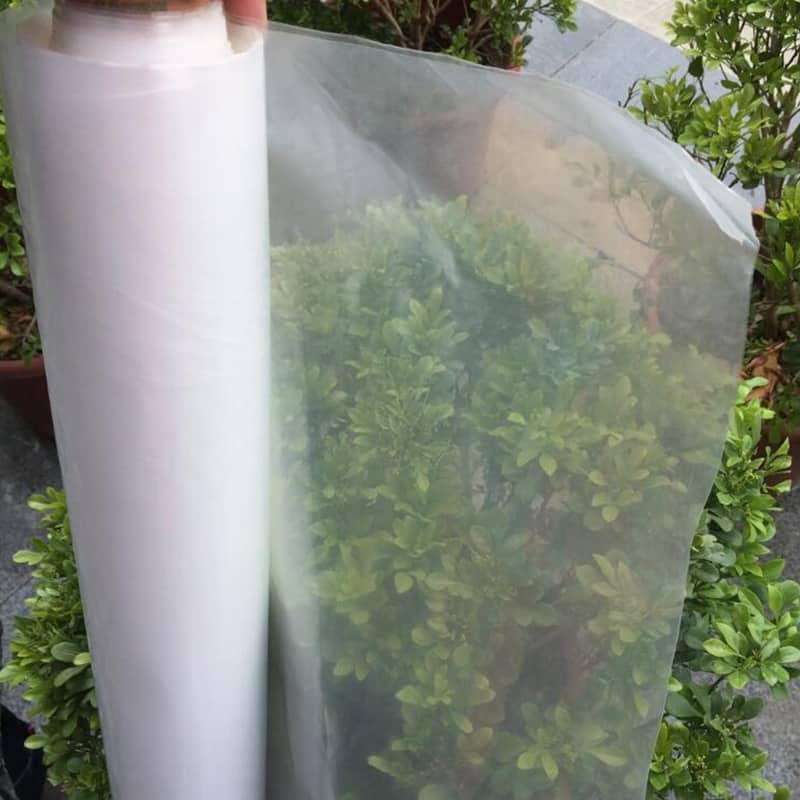 رول نایلون کشاورزی شفاف