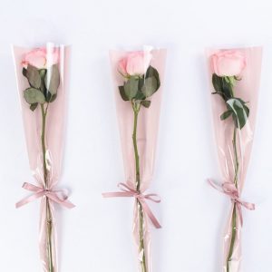 گل رز در پلاستیک صورتی