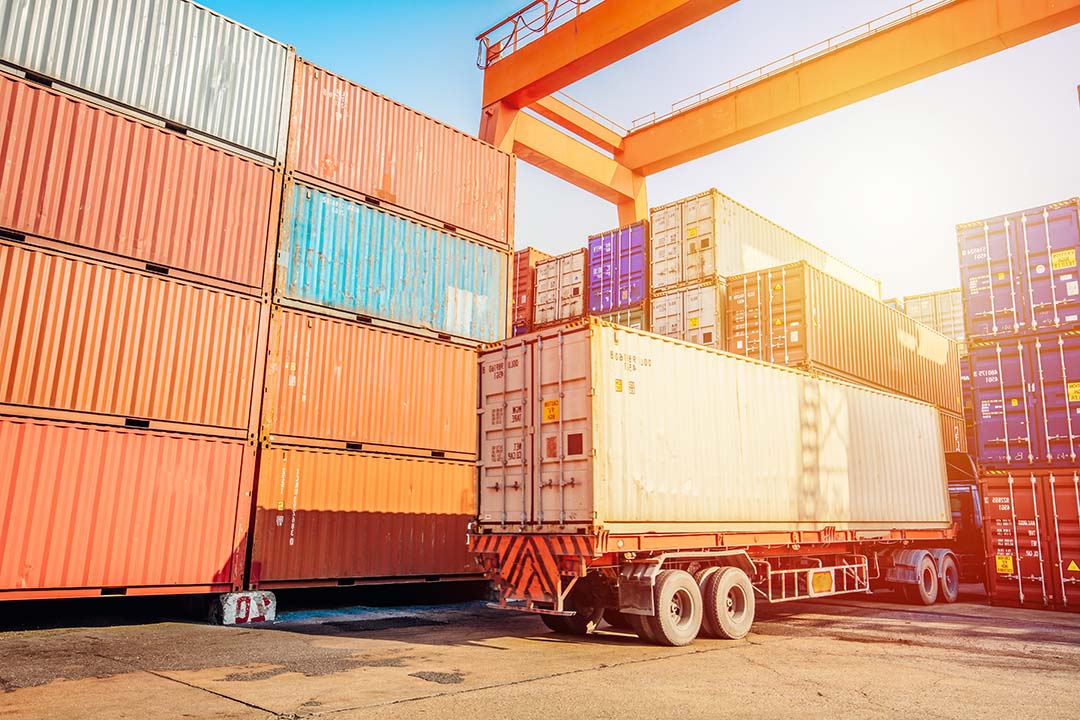 صادرات نایلون